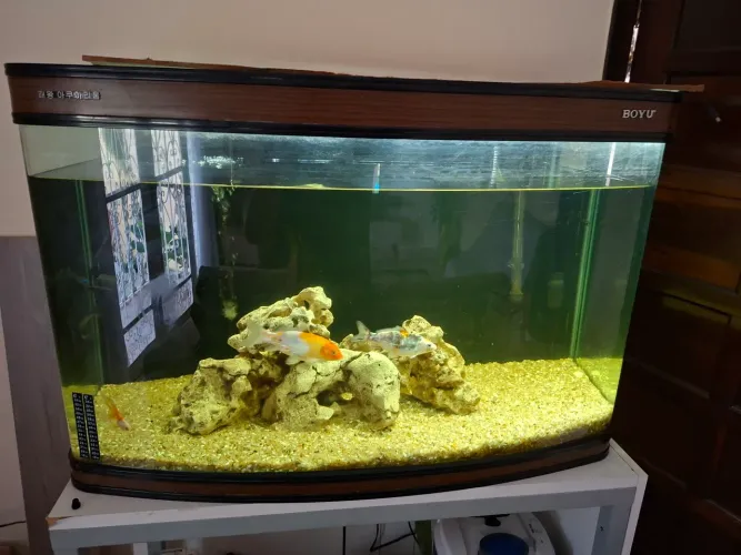 Aquario completo 400 litros Boyu