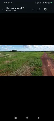 Fazenda de arrendamento 10 mil hec em Itacaiú Goiás, planta 6 mil hec tudo em pasto