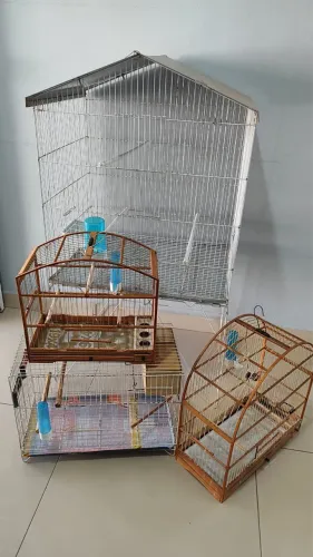Gaiolas