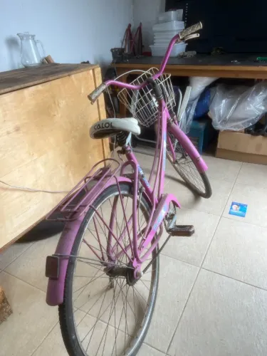 Bicicleta Ceci