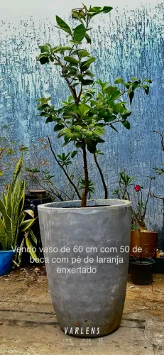 Vendo vasos de cimento