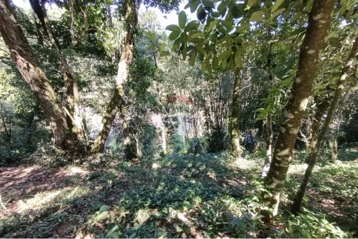 "Terreno Residencial Espetacular em Guapimirim"