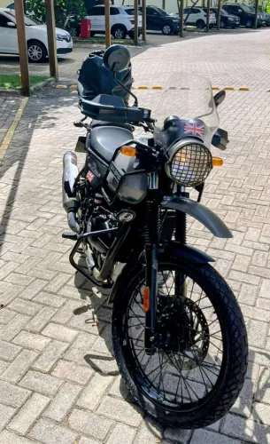 Himalayan muito bem cuidado 