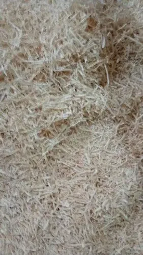 Serragem para viveiros