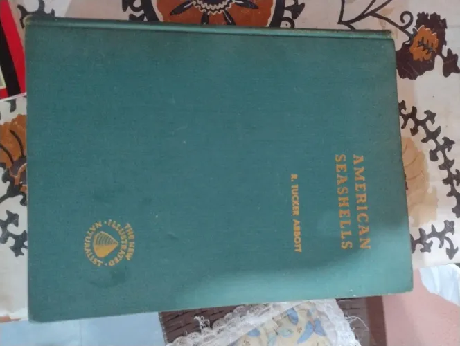 Livro American Seashells