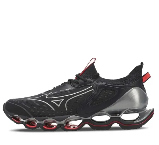 Mizuno prophecy 14