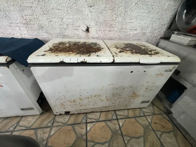 Freezer horizontal