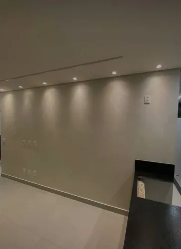 Pintor profissional