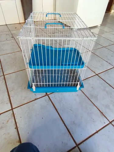 Vendo gaiola para porquinho da índia