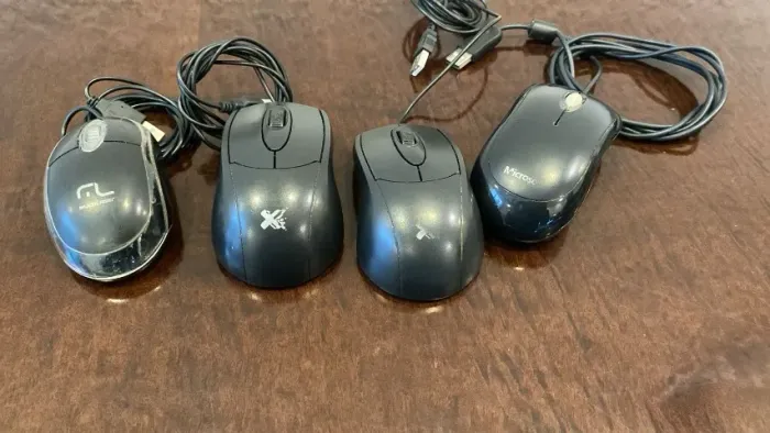LOTE 4 MOUSE 