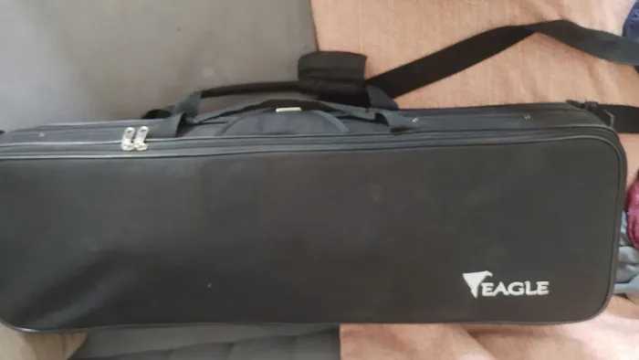 Violino Eagle 3/4 (acompanha espaleira, afinador digital)- somente 10 dias de uso