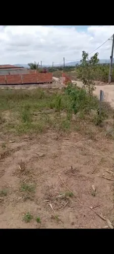02 lotes vizinhos em Estrela de Alagoas (próximo BR-316)