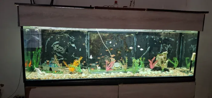 Aquário Jumbo 600 litros