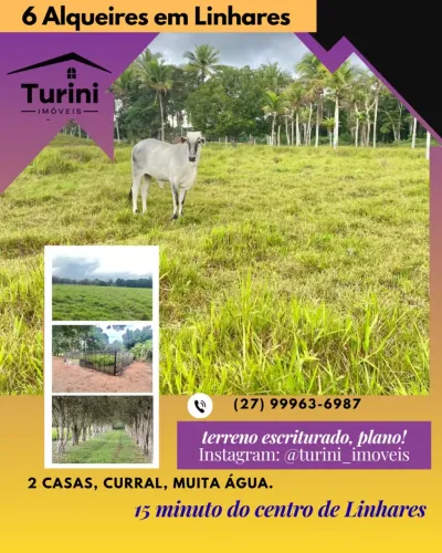 6 alqueires em Linhares