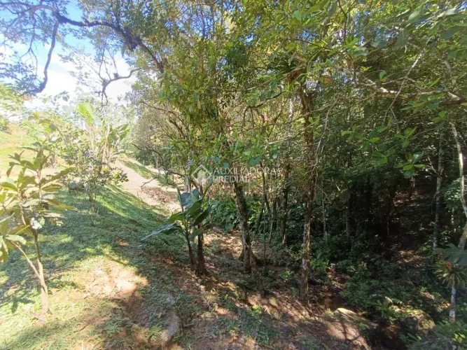 Natureza em estado puro, pronta para se transformar em oportunidade