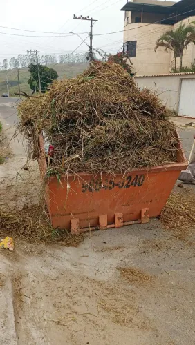Soluções verde ?