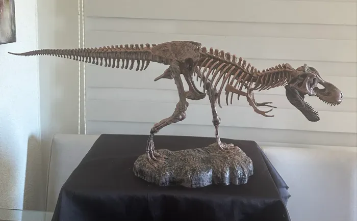 Escultura Decorativa Esqueleto de Dinossauro T-Rex em Resina