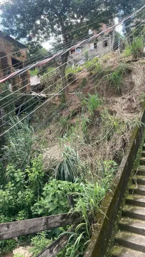 Faço capina e podas de árvores