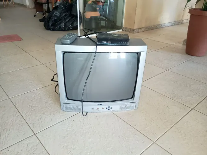Televisão