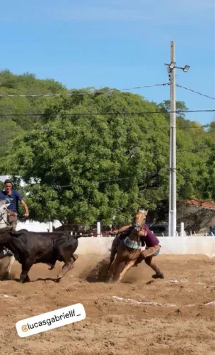 Cavalo de direita