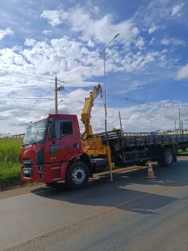 Caminhão Munck Ford Cargo 1319