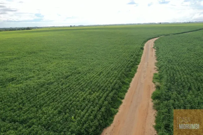 Fazenda à venda em Nova Andradina Mato Grosso do Sul - 1.200 alqueires de área!