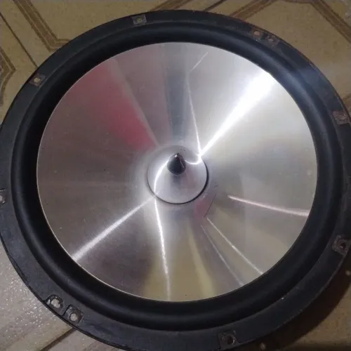 Subwoofer 10 polegadas