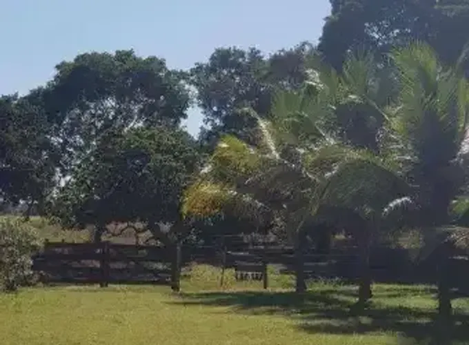 Procuro Chácara para alugar em Araucária ou RMC