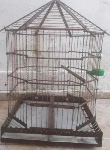 Gaiola grande top