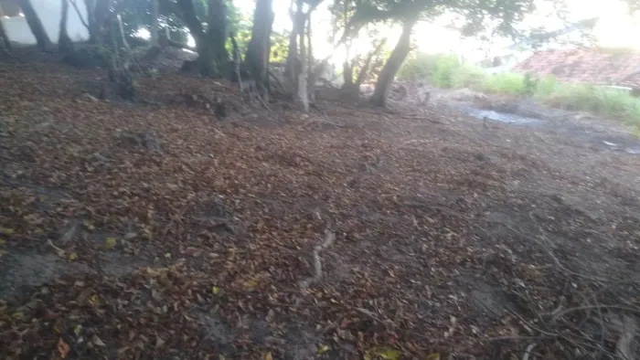 Terreno com vista bonita 