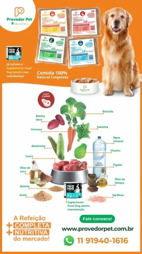 Provedorpet comida natural ração umida para caes - congelados