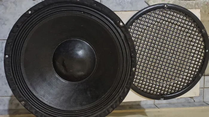 Alto Falante 12" 100w