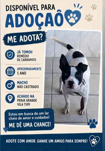 Doa-se cachorro porte médio macho