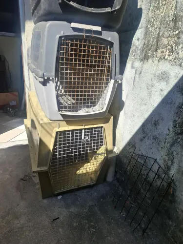 Caixa de transporte de pet 