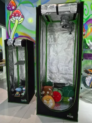 Kit Grow