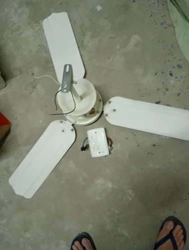 Ventilador de teto . Interruptor grátis