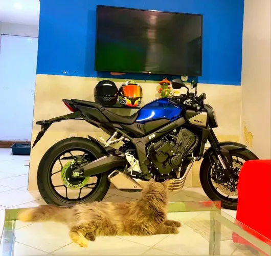 Vendo CB 650R 2025/2026