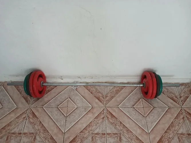 Halteres