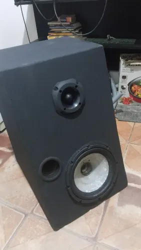 Caixa de som de retorno par