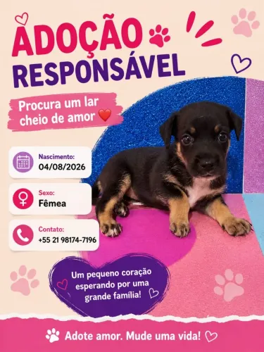 Adoção 