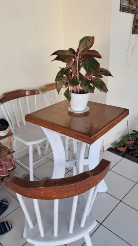 Vendo lindos conjunto de mesa