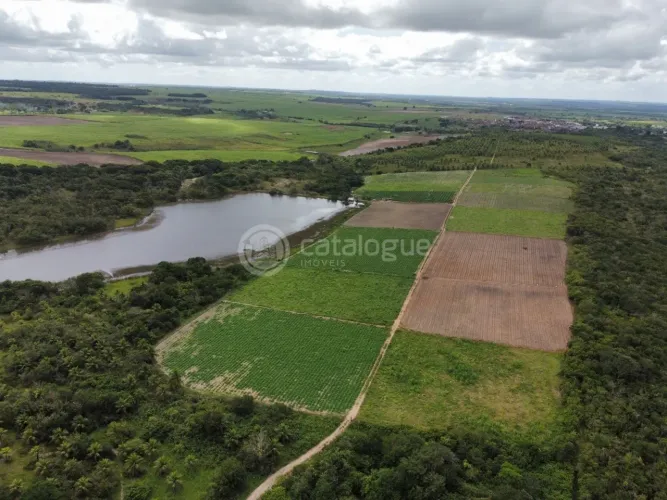 Fazenda 345 Hectares