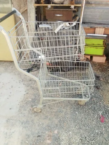 Vendo
