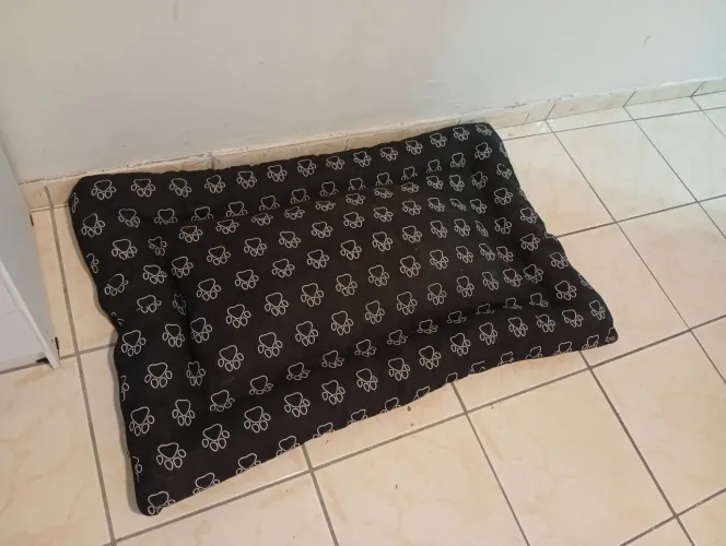 Cama Grande Para Cachorro + Brinquedo 