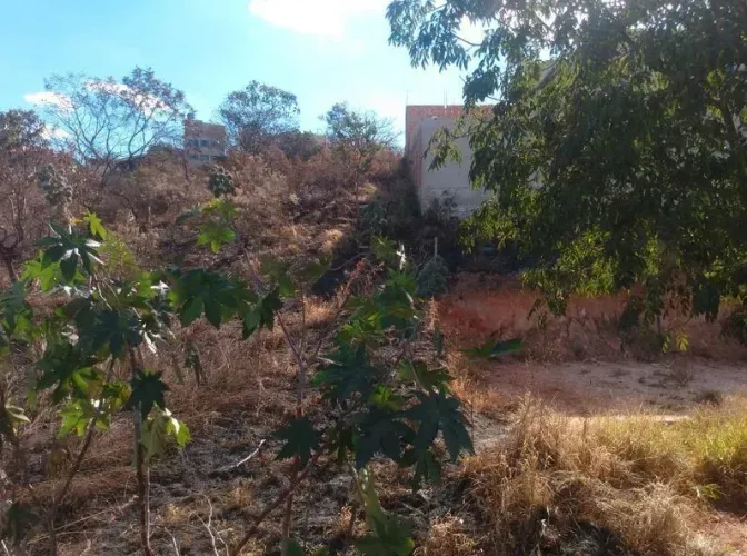 GRANDE OPORTUNIDADE EM LEILÃO EM BELO HORIZONTE/MG