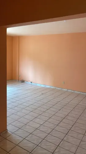vendo jardim passarada