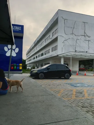 Troco suspensão original gol pela fixa