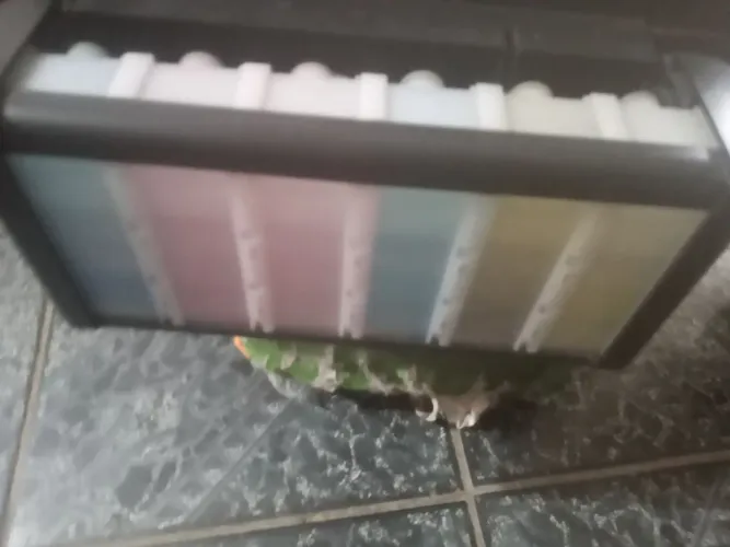 Impressora Epson L800