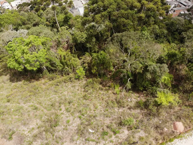 Terreno à Venda na Vila Nova Suíça - Campos do Jordão/SP