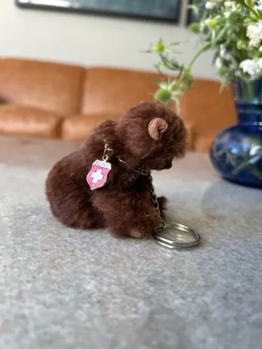 Chaveiro Vintage Teddy Suíço Raro